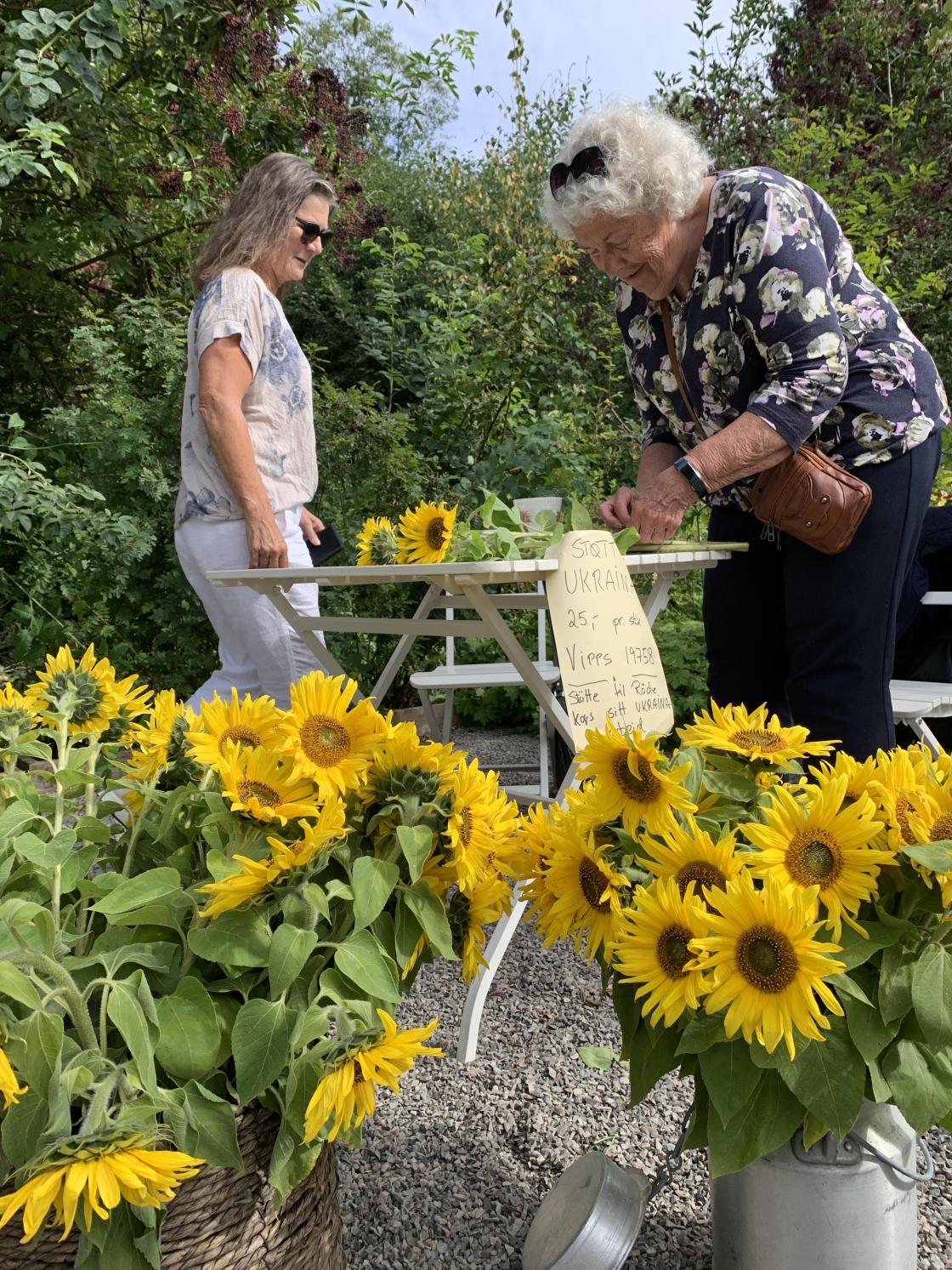 De deiligste solsikker ble solgt til inntekt for Ukraina