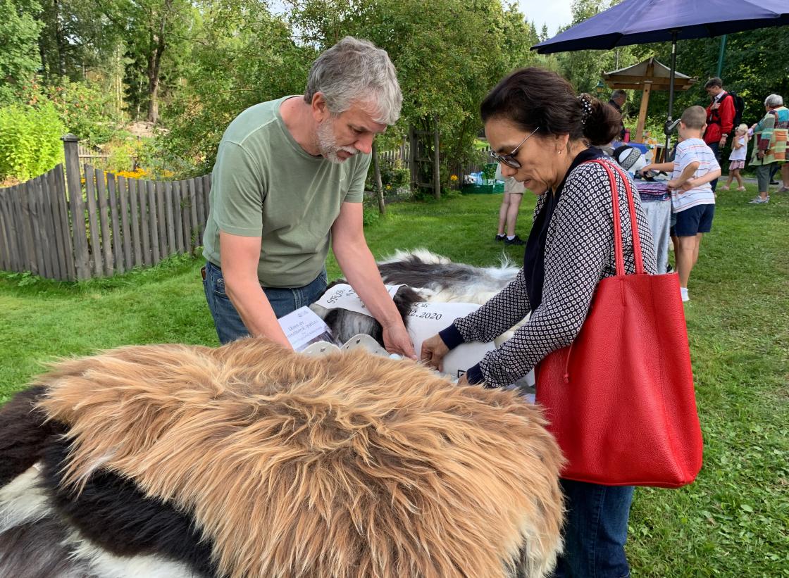 Vakre skinn og fargerike egg fra Søndre Hegg Gård