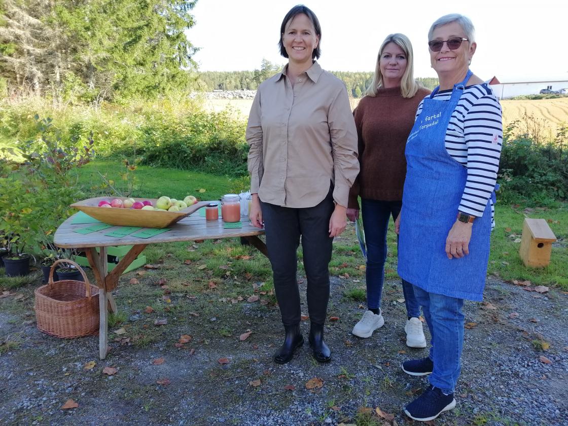 Nypresset eplejuice med lokale eplesorter