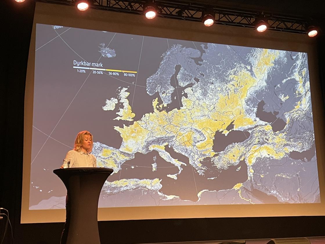 Bothild Å. Nordsletten.