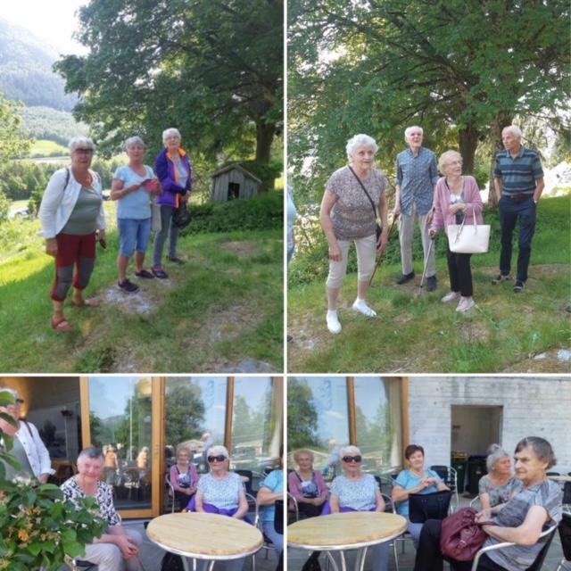 Fire bilete med turdeltararar ute ved tre og ved bord