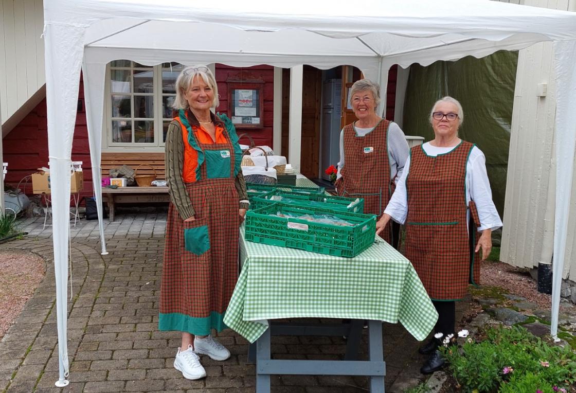 Salg av brød fra vedfyrt bakerovn