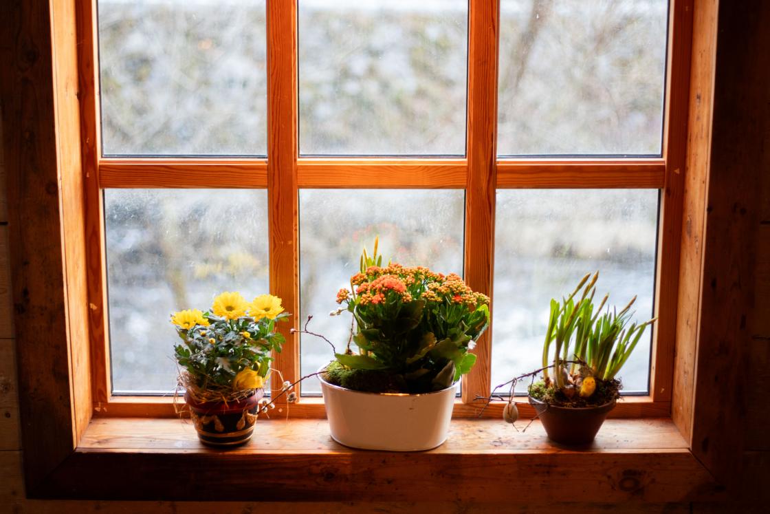 Blomsterdekorasjon i vinduet på Spinneriet