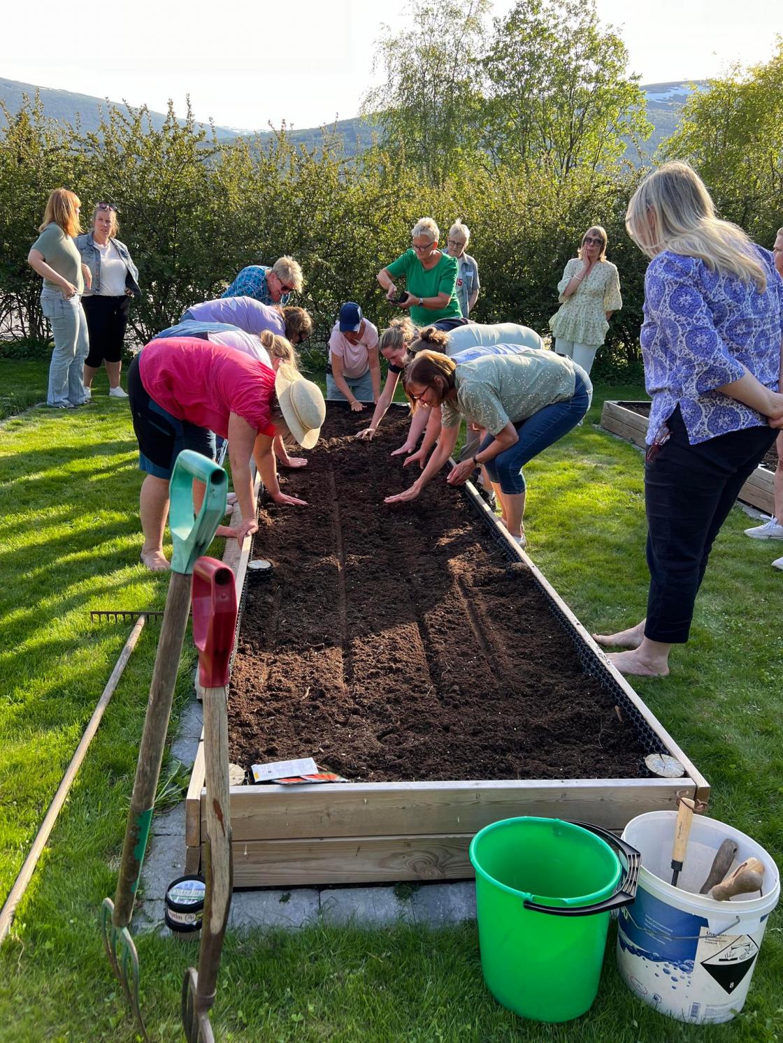 Etter såing klappes fårene igjen.