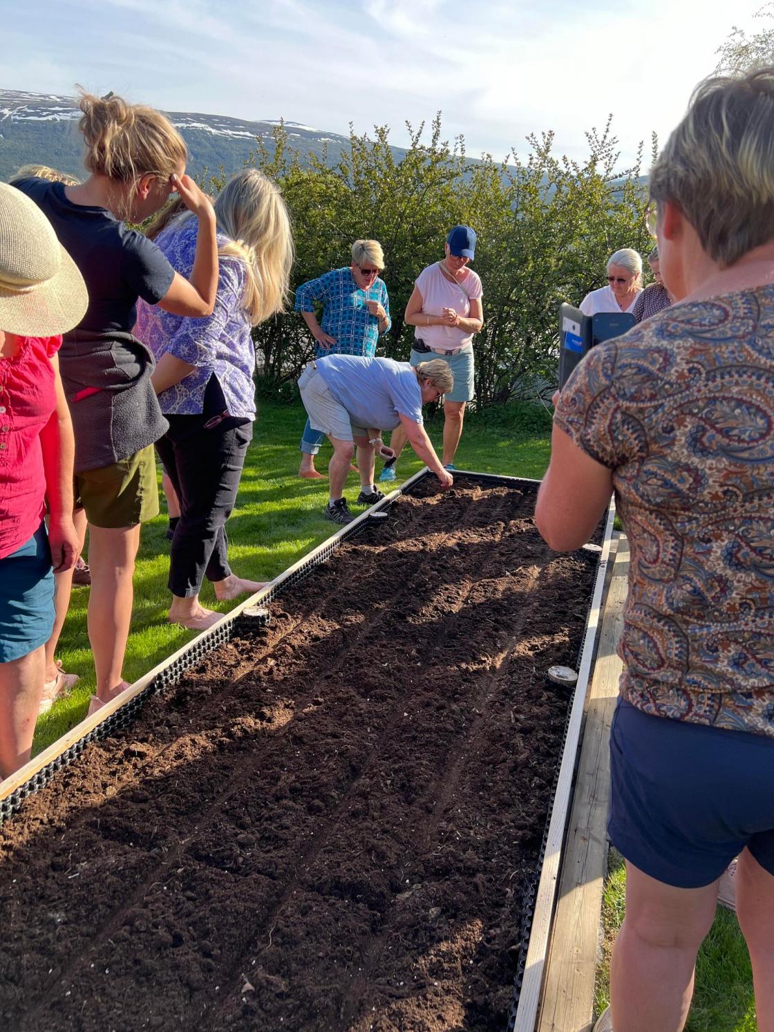 Kursleder viser gulrotsåing.