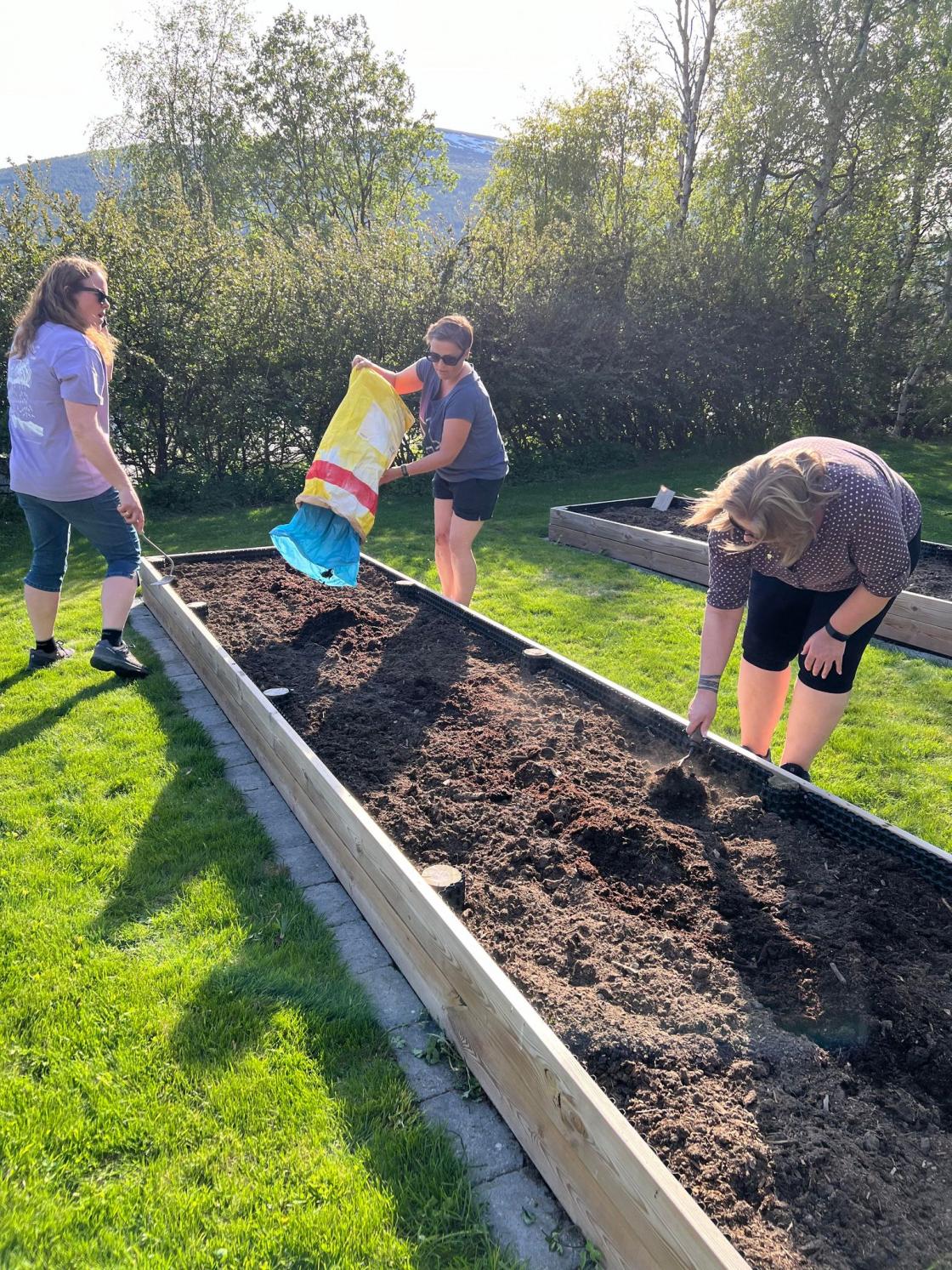 Jordforbedring med brent hestemøkk