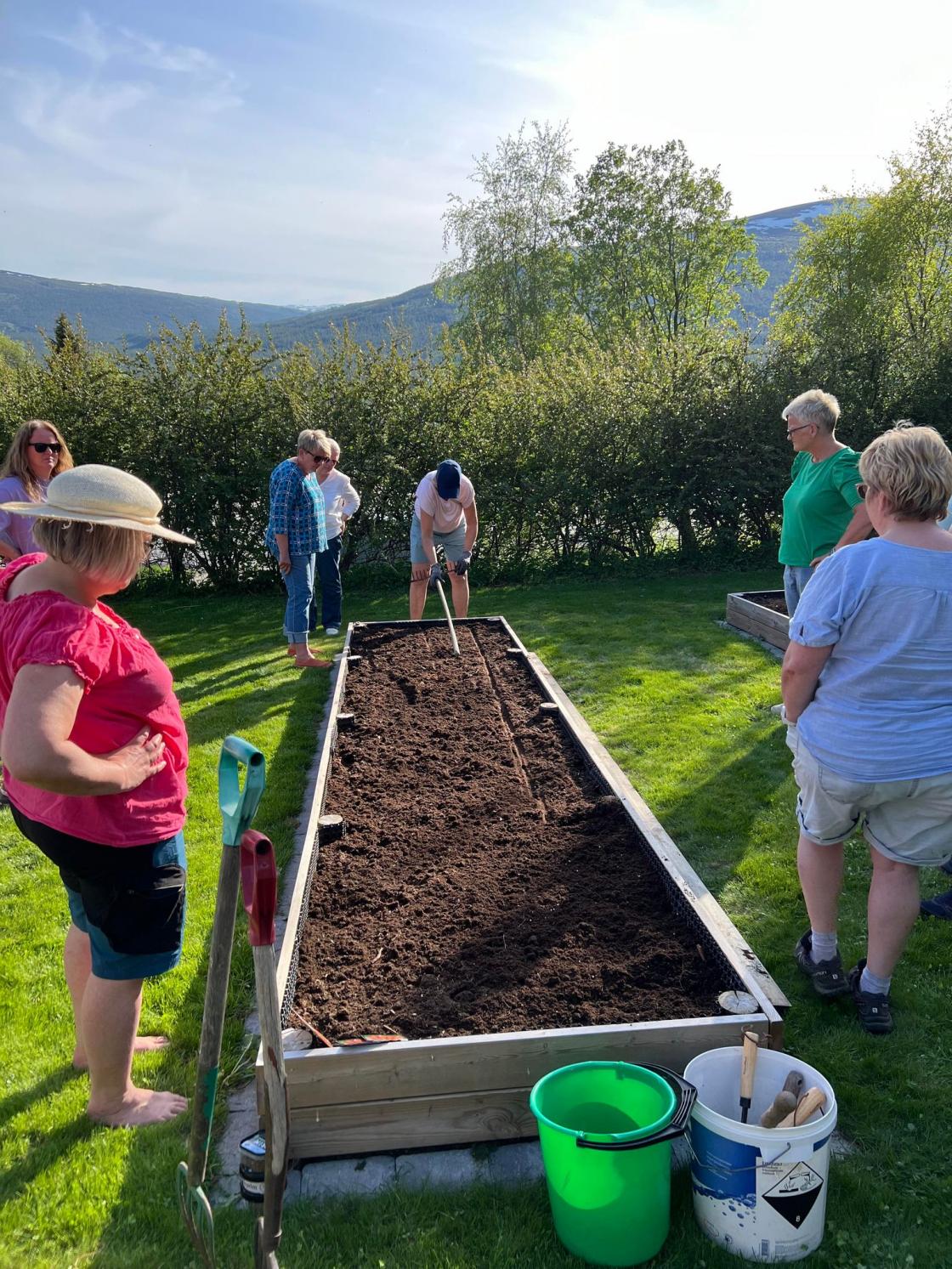Sikting for å få rette fårer.