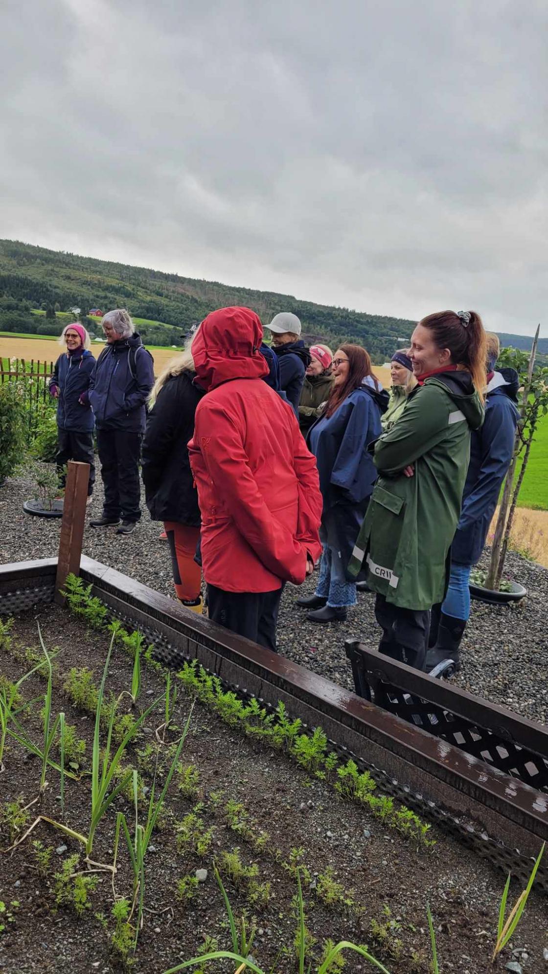 Gruppe mennesker på hagevandring