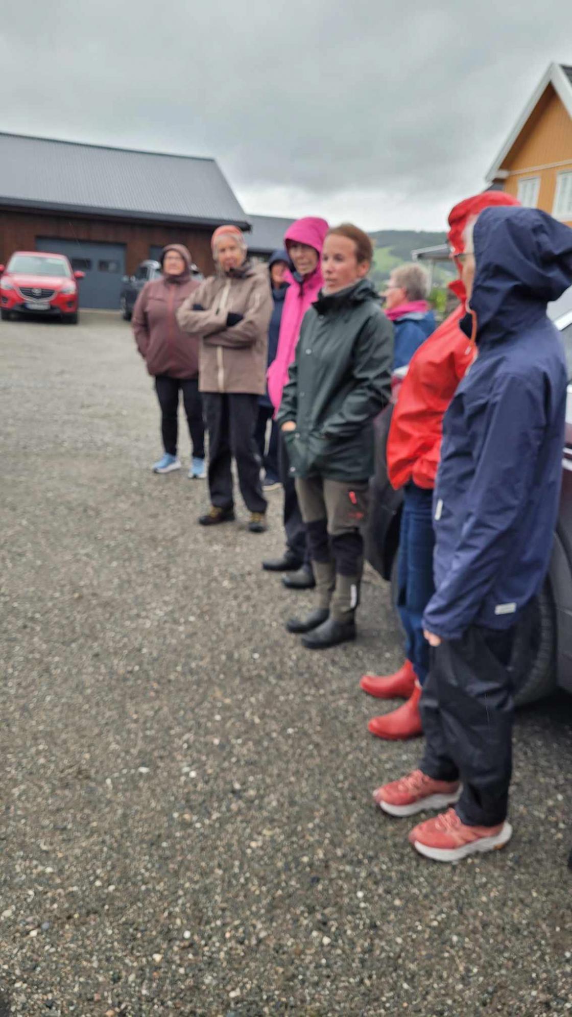 Gruppe mennesker lytter til fortelling om hagen under hagevandring