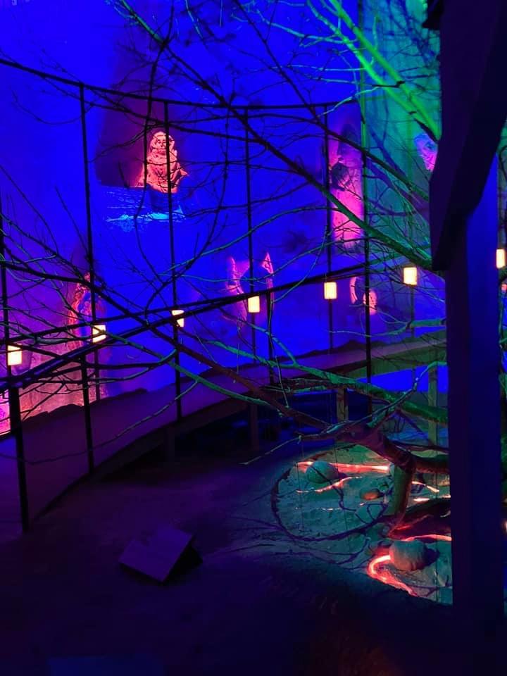 Utstilling frå heidendom til kristendom