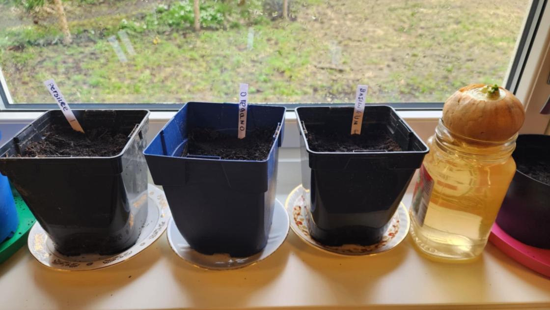 Ferdigsådde potter med merkelapper i et vindu