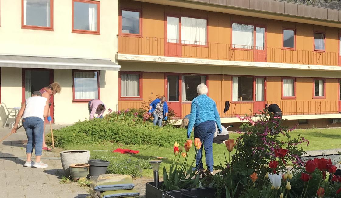 Godt frammøte, nesten 20.