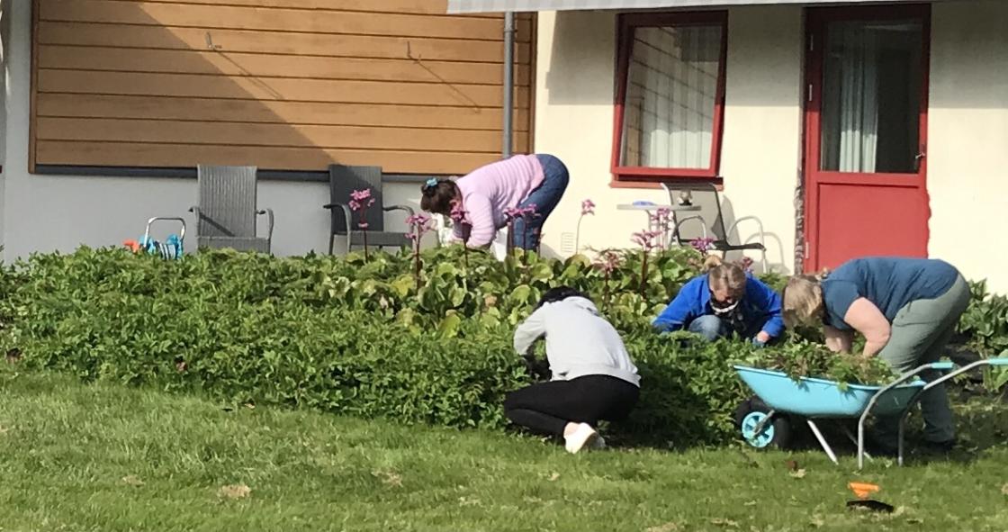 Dei sprekaste tok skvalderkålbedet!