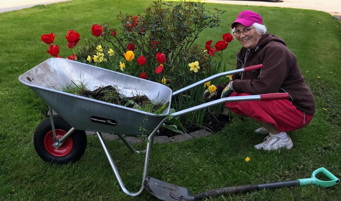 Anne gjorde skikkeleg arbeid, tok opp alle steinane rundt.
