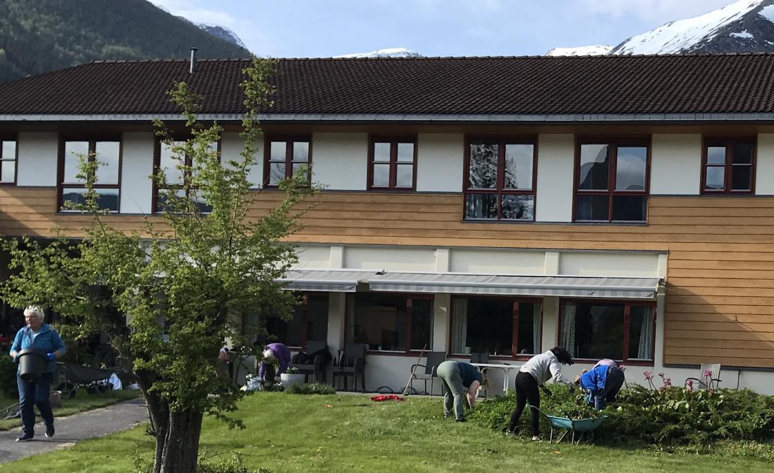 Flott hage! - Og mange frivillige hjelparar.