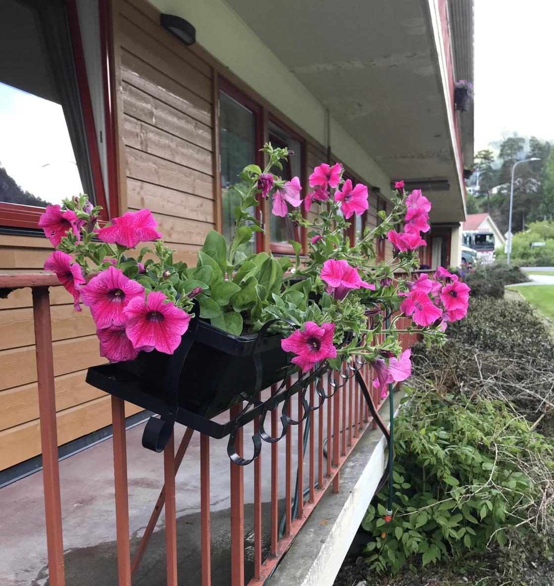 Dette skal bli fint håper vi.