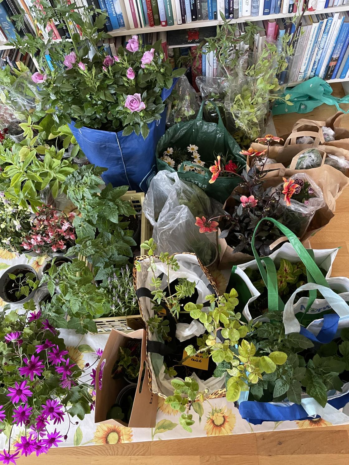 Alt dette skal loddes ut.