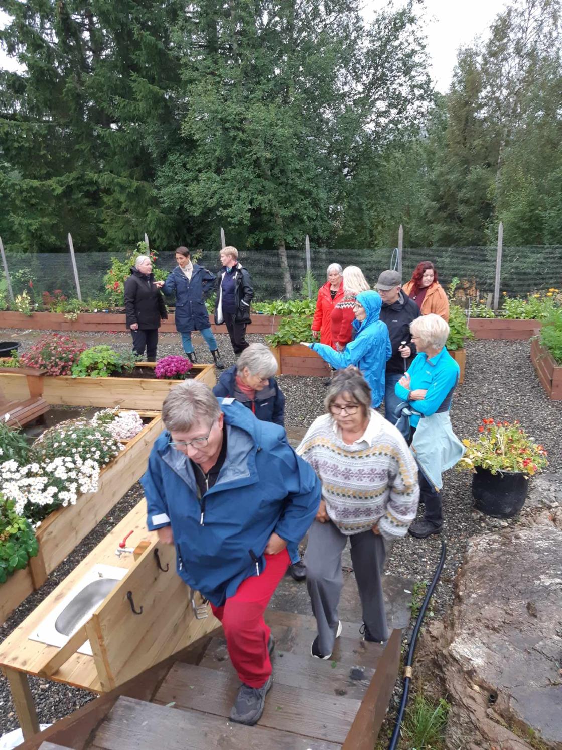 Flere på hagevandring