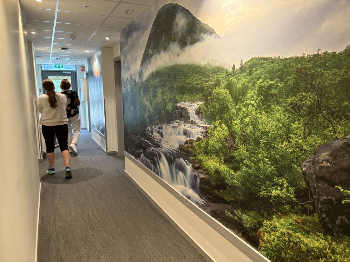 Vi fekk sjå dei flotte naturbilda i gangane.