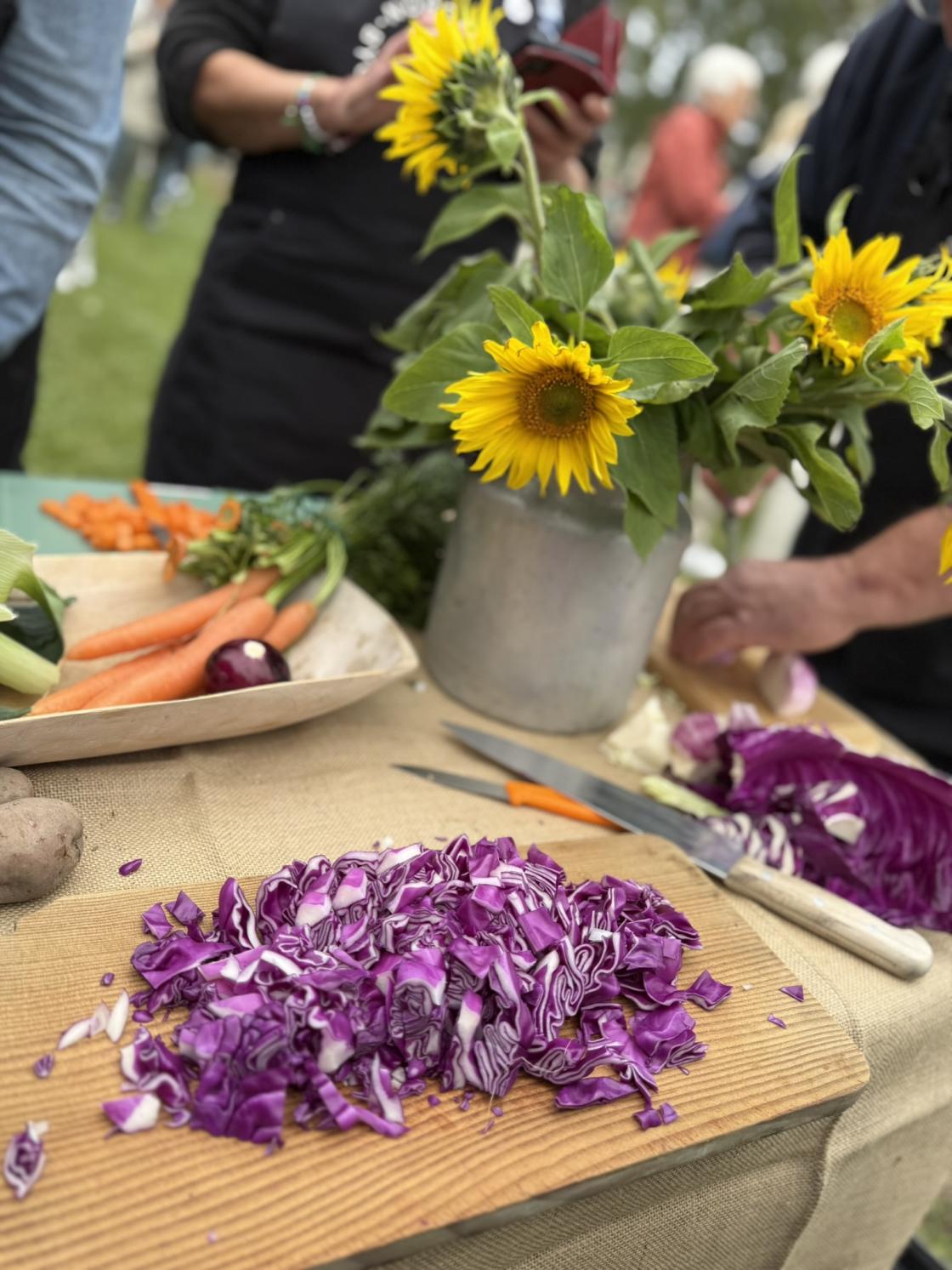 Politikere frå Oppland