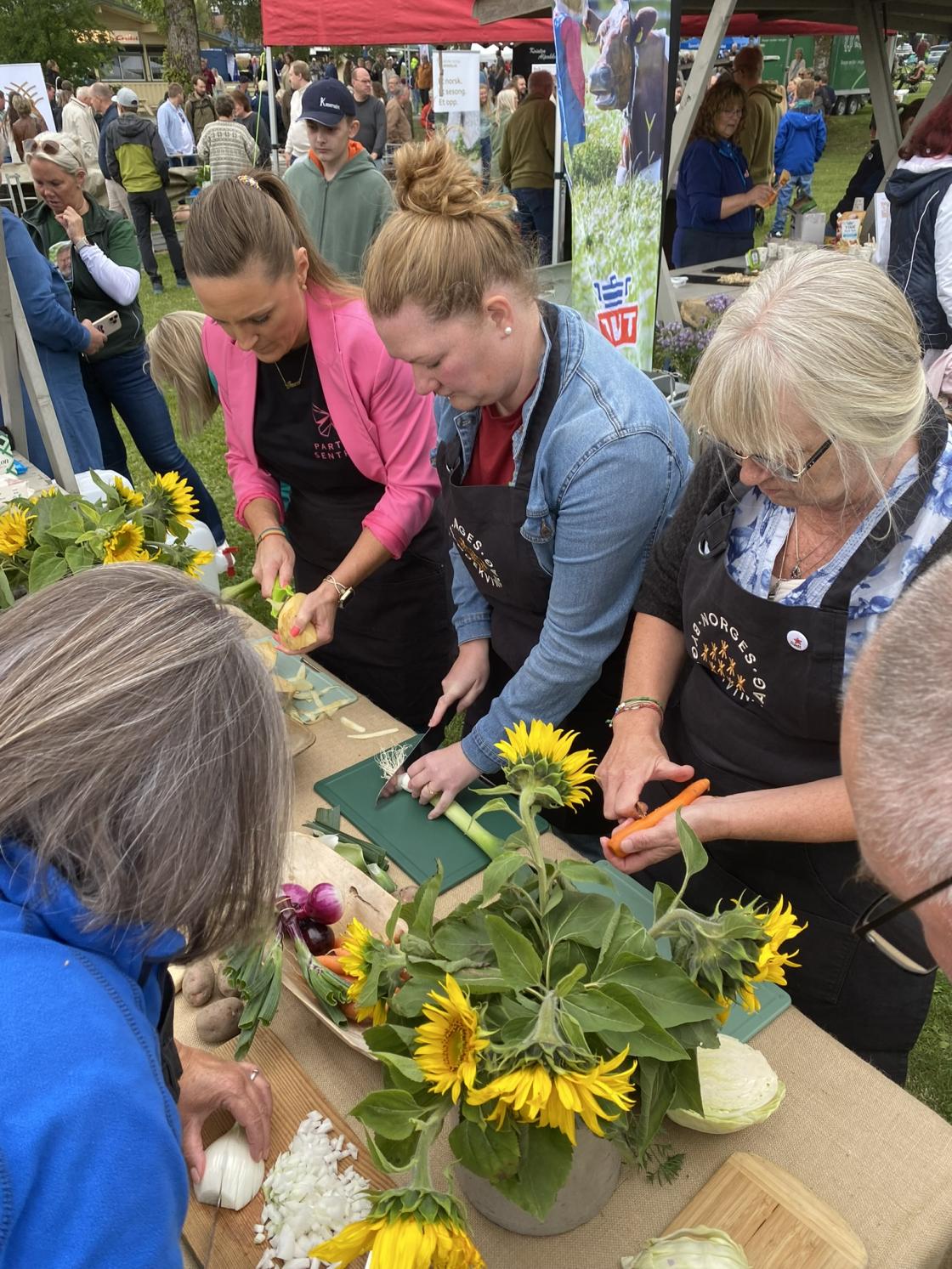 Politikere frå Oppland