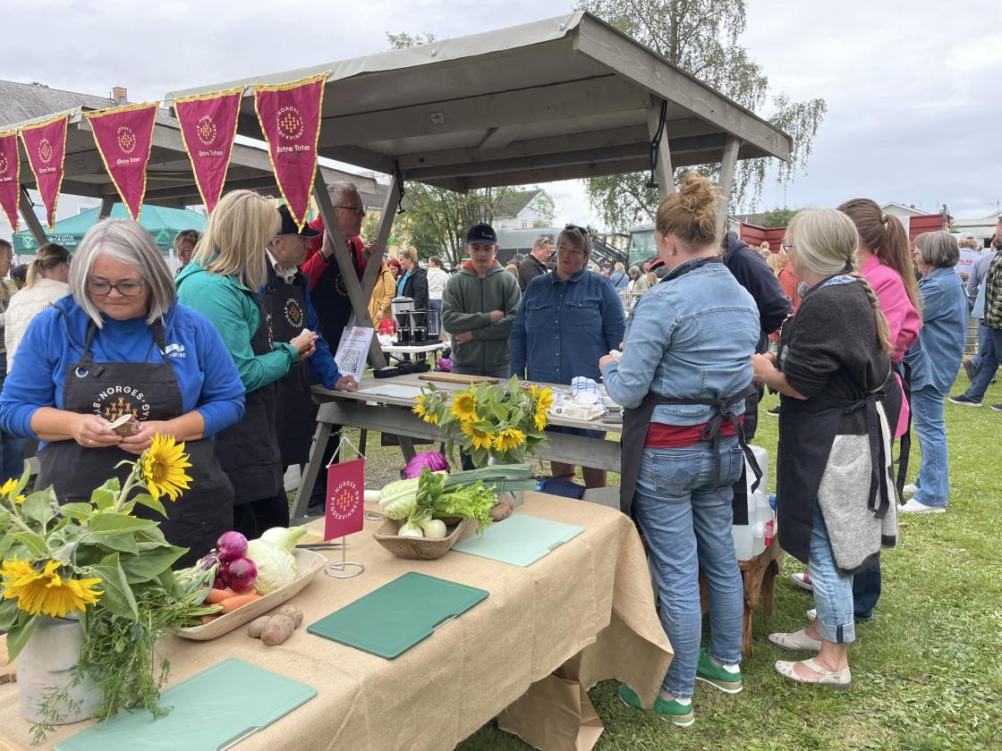 Politikere frå Oppland