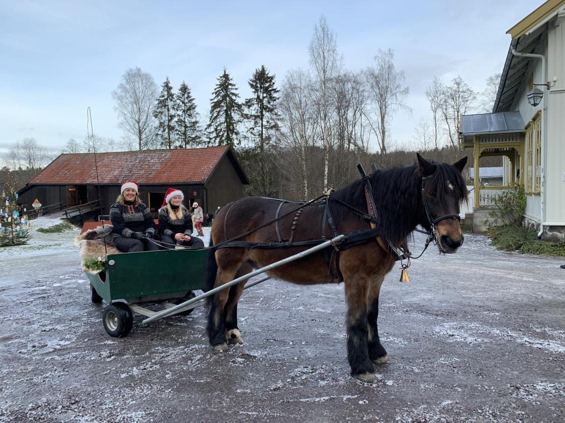 Helene Bøe kommer med den fine gampen og vogna. Her kan du få deg en tur.