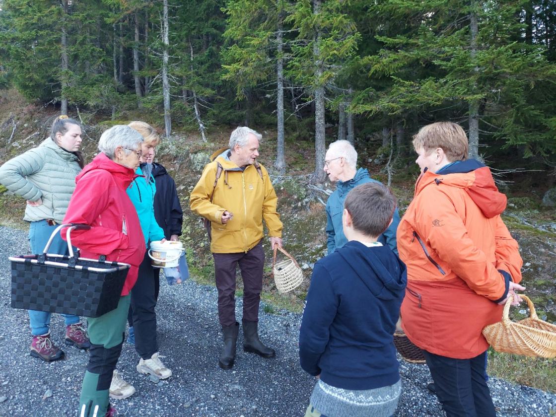 Kvinner med soppkorg, i skogen