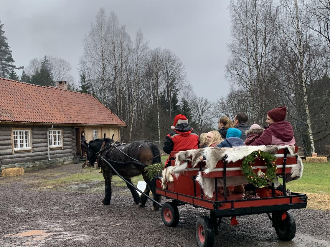 Den flotte gampen Skoggre fraktet barn og voksne i et jevnt tempo