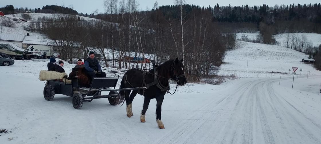 hesteskyss med passasjerer