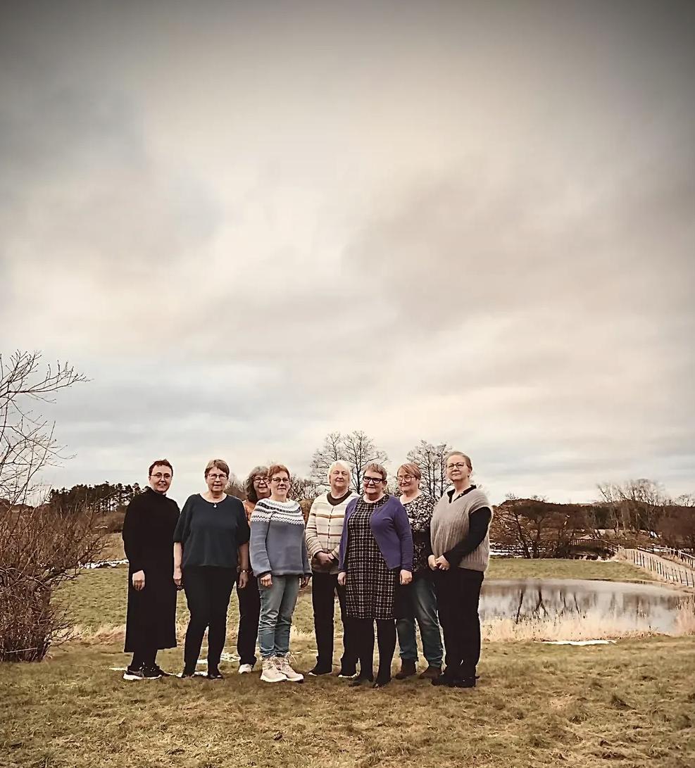 Distriktsstyret 2025/2026