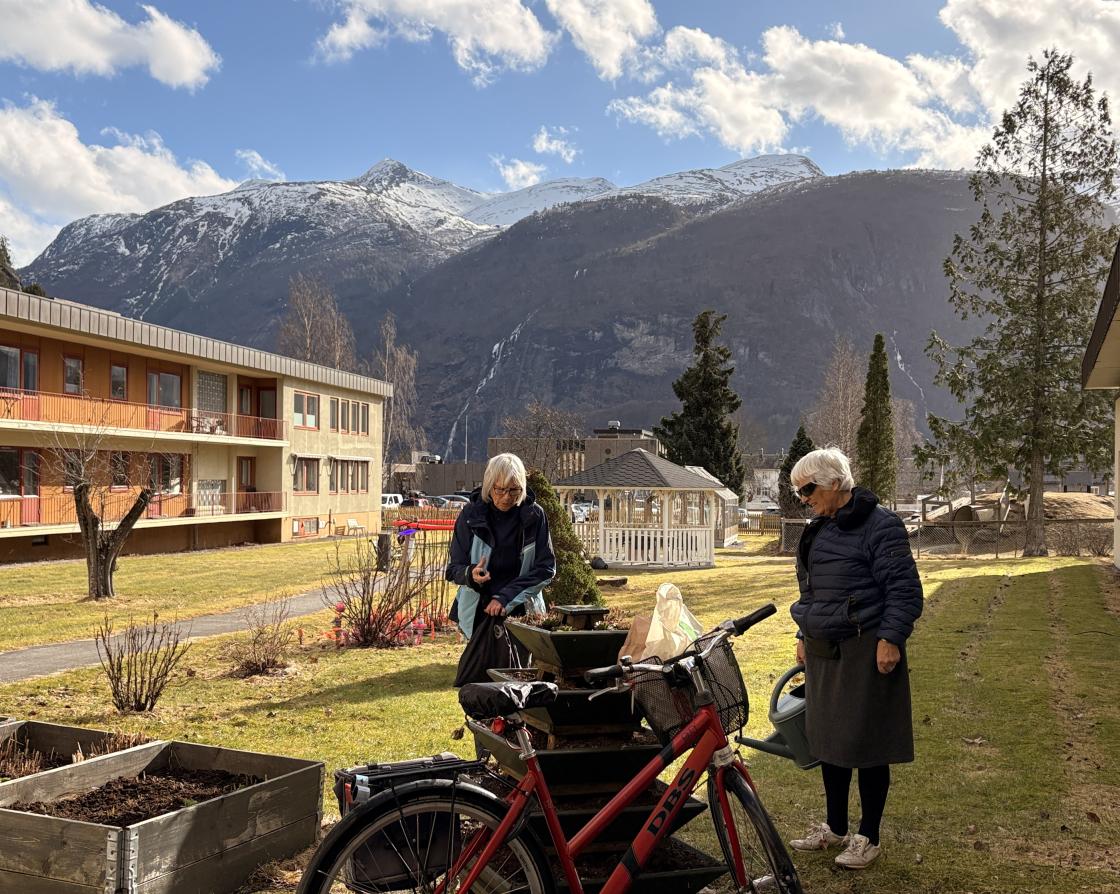 Vigdis, Anne, Else og Judith planta påskliljer og lyng og rydda litt.