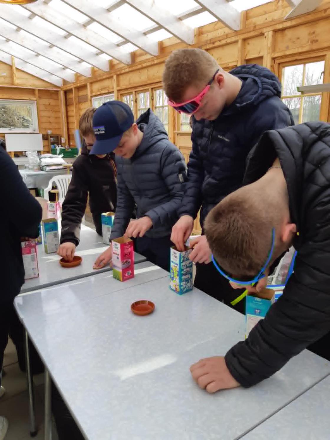 Gruppe ungdommer står langs bord og sår i melkekartonger