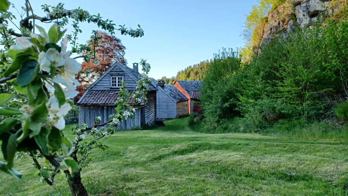 Vigatunet