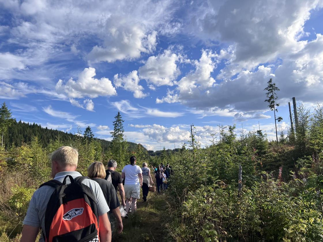 en rekke mennesker på vei ut i soppskogen