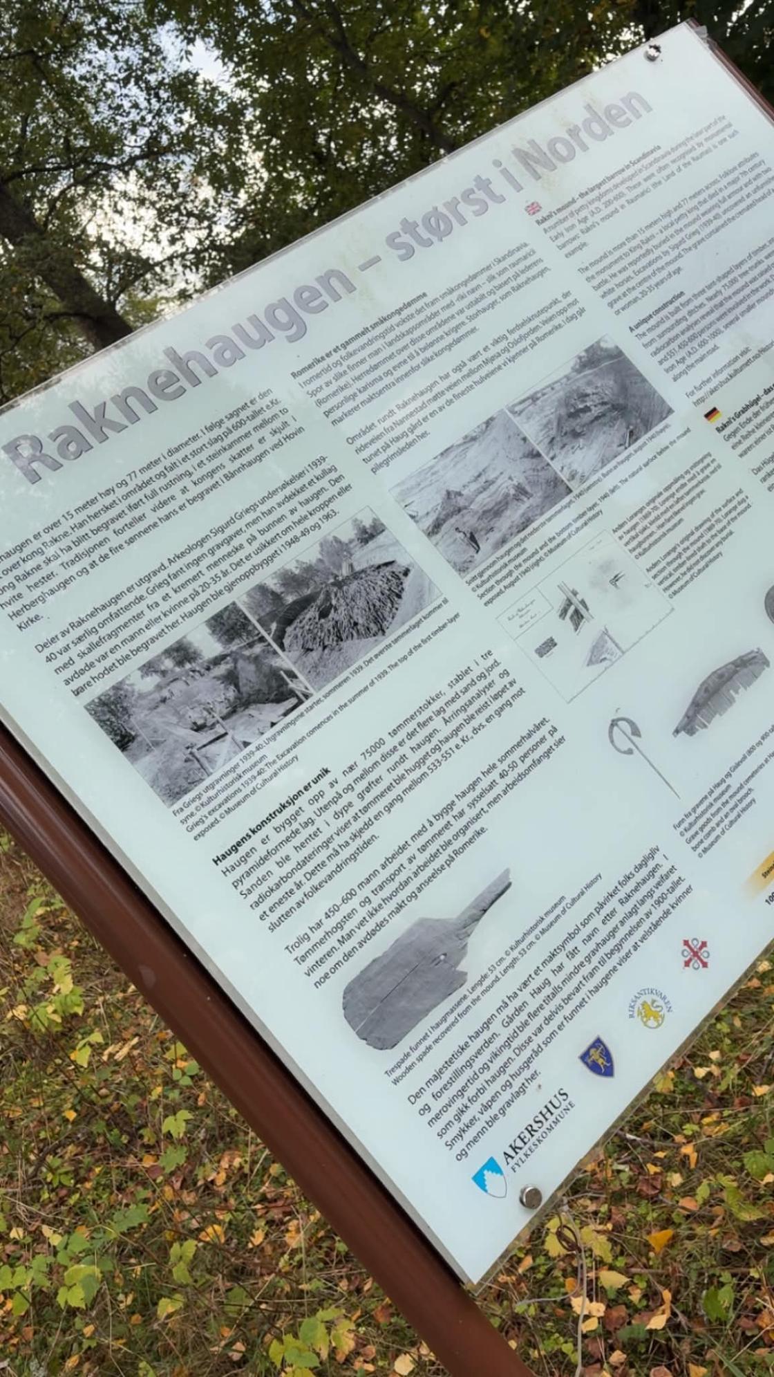 Raknehaugen