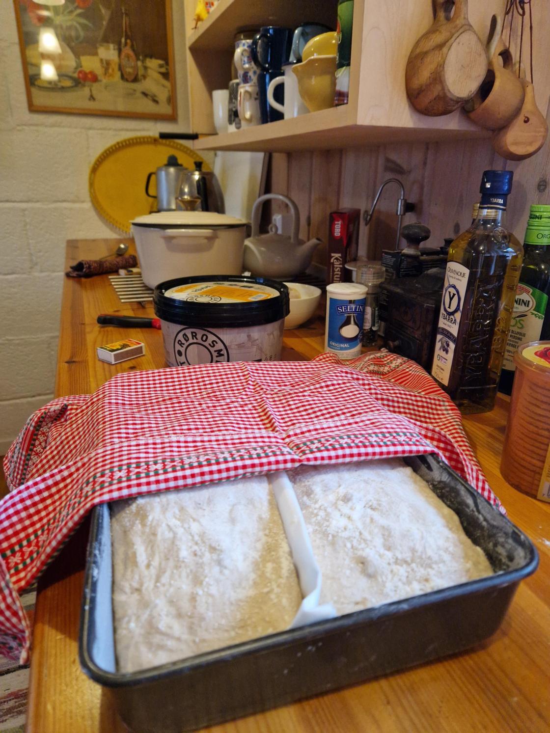 Når brødene settes inn i bakerovnen (på rist for å få luftsirkulasjon) må du fortsatt fyre i oven. Men da er det lurt å bruk småved. Da er det lettere å regulere og ha kontroll på temperaturen. Prøv deg litt frem og sjekk med jevne mellomrom om brødene er i god prosess. Øvelse gir mester.