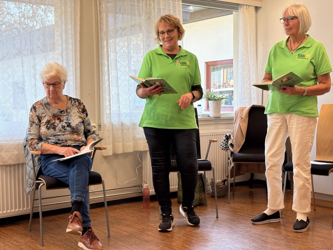 Faste forsangarar,- Vesla, Linda og Vigdis.