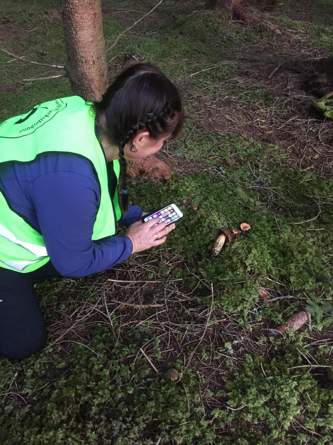 Kari Janne var med oss som soppkontrollør og fann sjelden sopp!