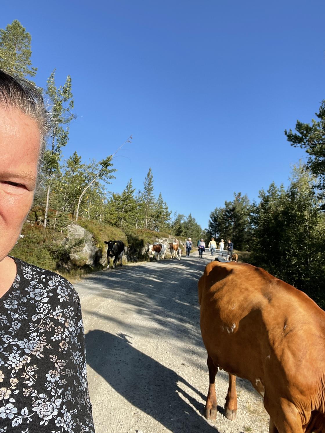 Vi fulgte de et stykke på veien