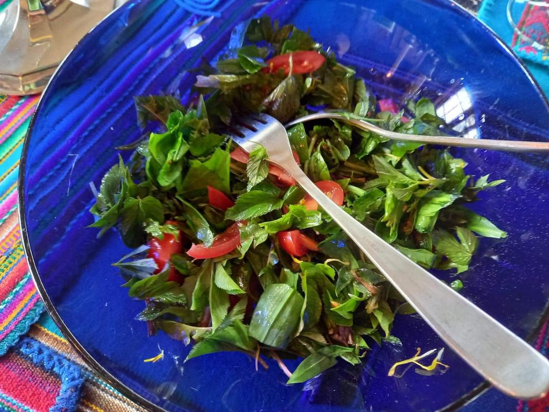 Ville vekster - salat