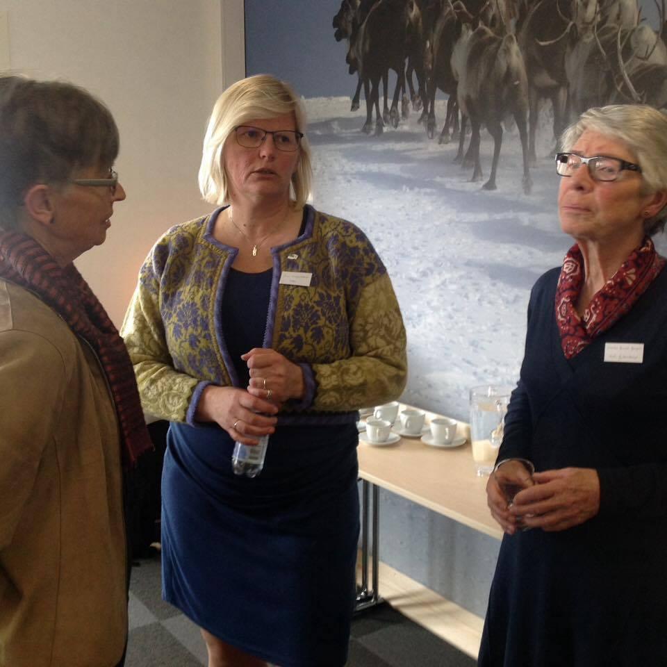 3 damer frå Fyresdal bk