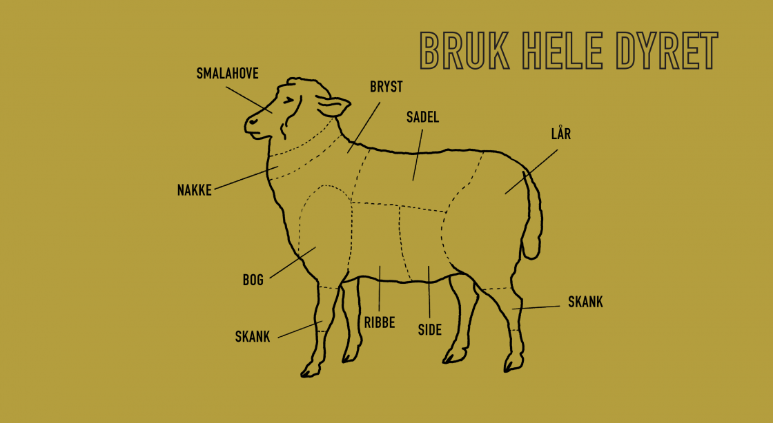 Bruk heile dyret.