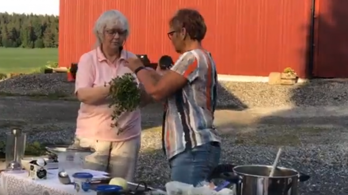 Bente tester om vassarve virkelig kan brukes i salat