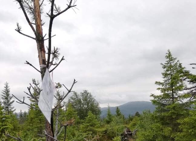 På åpent område på Sæteråsen, henger posten