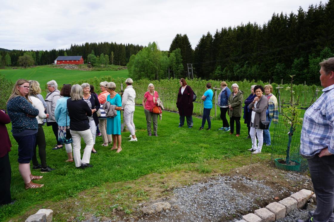 Bjørg forteller om bærproduksjon og det er mye og se på!