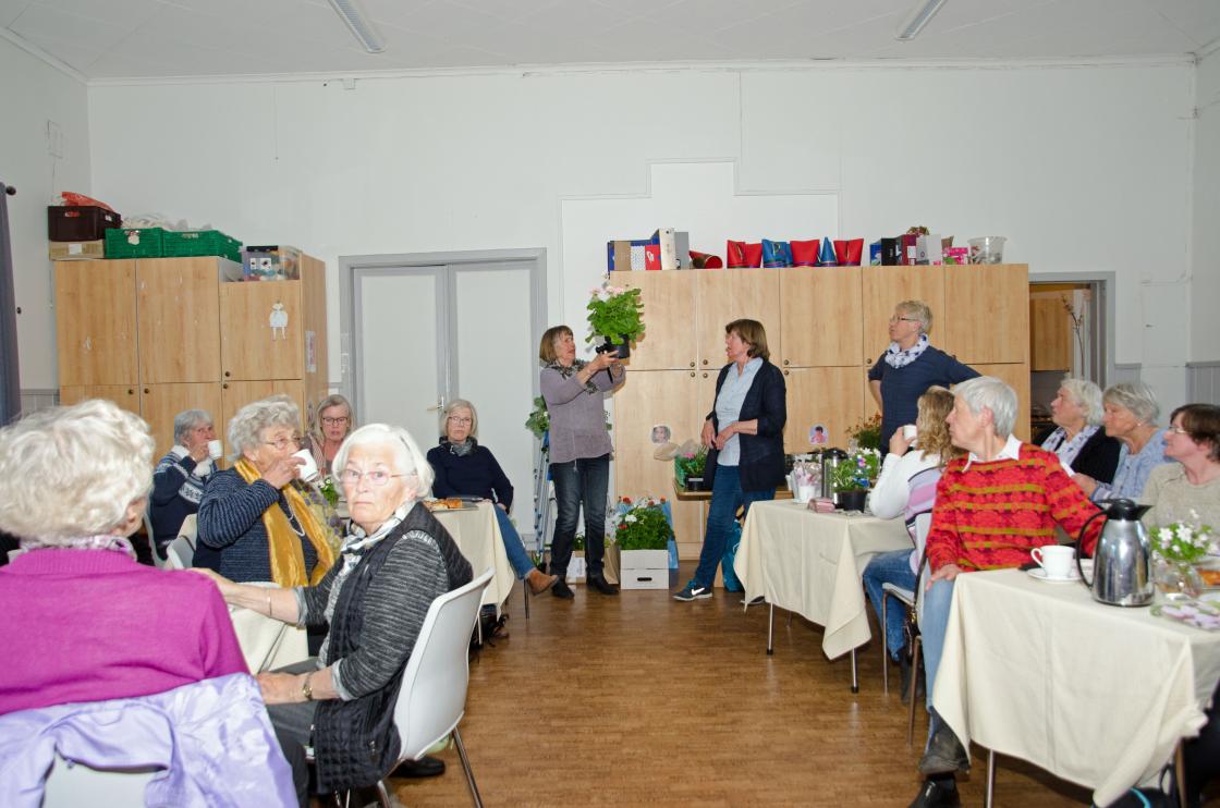 Hva byr dere for denne?