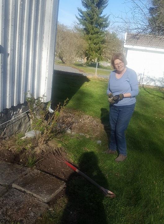 Her får rosene god omsorg!