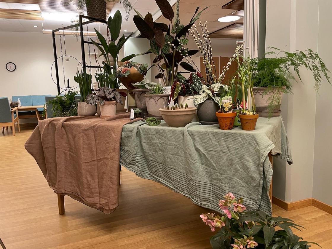 Fin blomsterutstlling