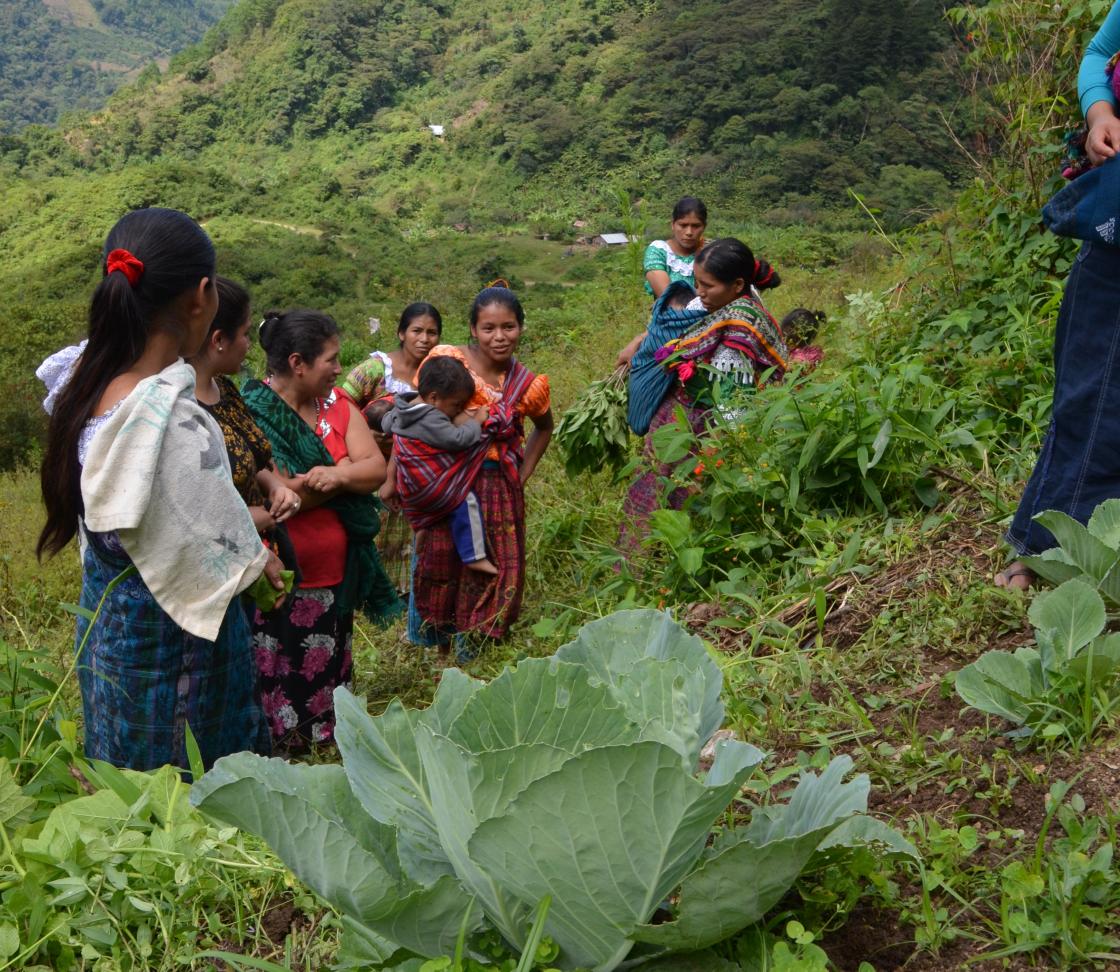 kvinnene i Guatemala